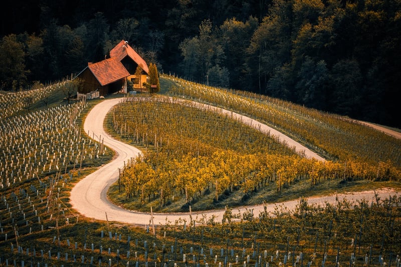 Alternate Reality Landscape